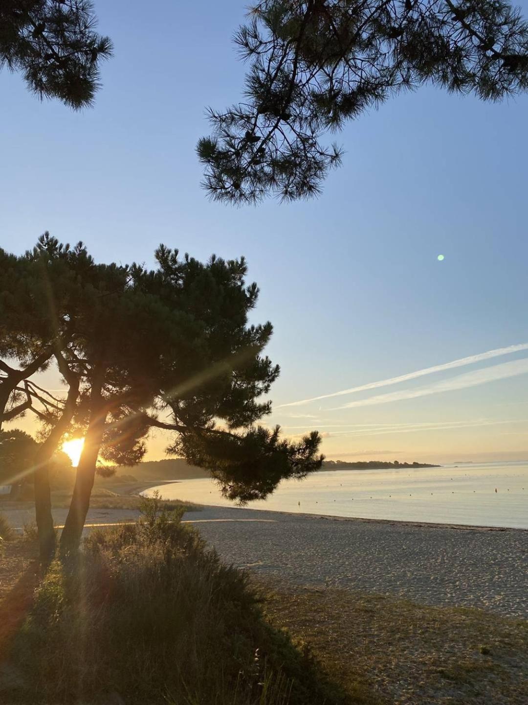Confortable Studio, Wifi, Parking, Proche Plage Carnac Exteriör bild